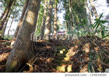 Haguro Shrine, a shrine for safe boat transport, with its cedar-lined approach to the shrine. Murayama City, Yamagata Prefecture 134634080