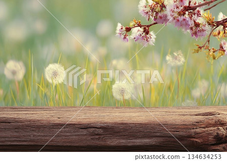 Spring background ready for your display montages 134634253