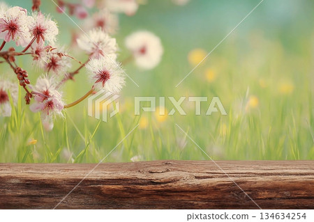 Spring background ready for your display montages 134634254