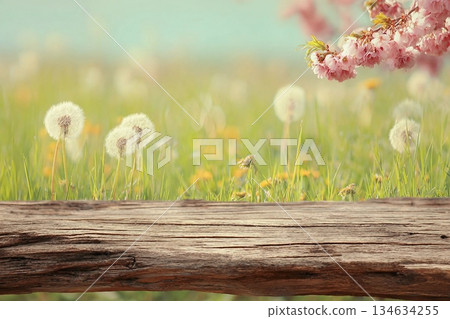 Spring background ready for your display montages Spring background ready for your display montages 134634255