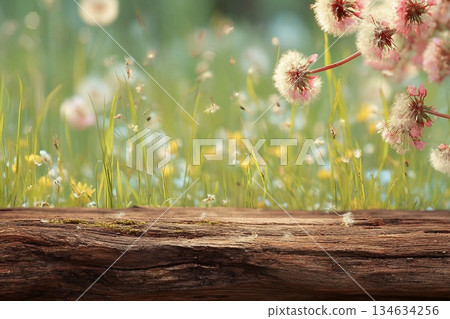 Spring background ready for your display montages Spring background ready for your display montages 134634256