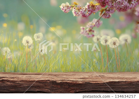 Spring background ready for your display montages Spring background ready for your display montages 134634257
