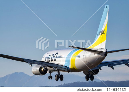 黃昏時分的仙台機場，飛機降落，宮城縣名取市 134634585