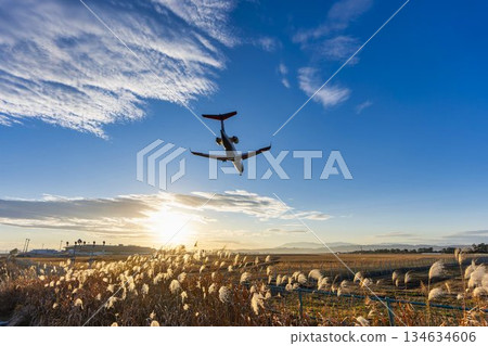 黃昏時分的仙台機場,飛機降落,宮城縣名取市 黃昏時分的仙台機場,飛機降落,宮城縣名取市 134634606