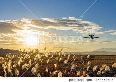 黃昏時分的仙台機場，飛機降落，宮城縣名取市 134634607