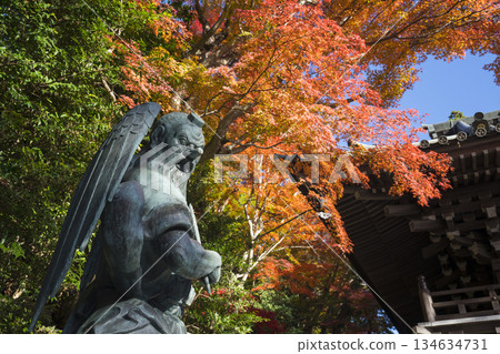 The Tengu statue and temple gate of Takao-san Yakuo-in Temple, illuminated by autumn leaves 134634731