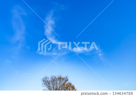 冬日的天空、雲彩和樹木 134634789