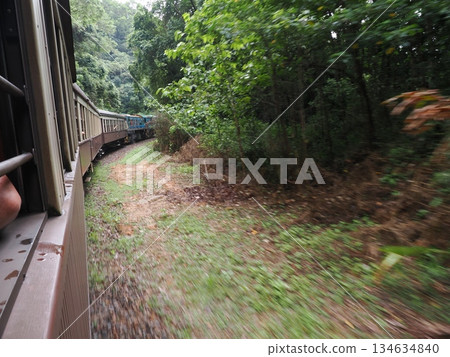 庫蘭達觀光火車的車窗外，可以看到手和綠色的曲線。 134634840
