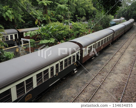 客車車廂整齊地排列在綠樹叢中－庫蘭達觀光鐵路 134634855