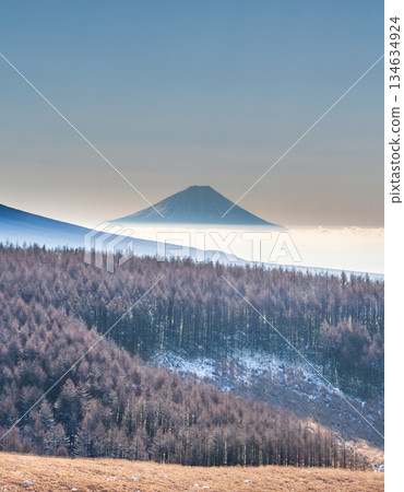 隆冬時節，富士山與霧峰高原上閃耀的白色霜花交相輝映。 134634924