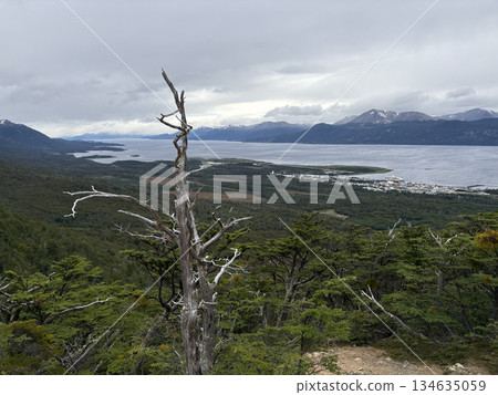 《Chile》 Across the bay is Argentina, overlooking the world's southernmost village. 134635059