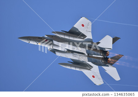 航空自衛隊F15戰鬥機 134635065