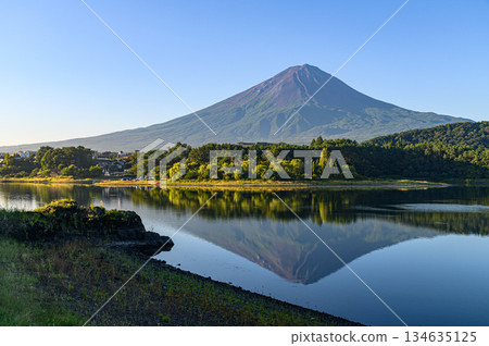 Inverted Fuji reflected in Lake Kawaguchi in summer, Yamanashi Prefecture Inverted Fuji reflected in Lake Kawaguchi in summer, Yamanashi Prefecture 134635125