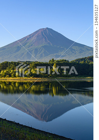 山梨縣河口湖夏季倒映著富士山的倒影 山梨縣河口湖夏季倒映著富士山的倒影 134635127