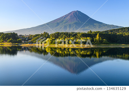 Inverted Fuji reflected in Lake Kawaguchi in summer, Yamanashi Prefecture 134635129