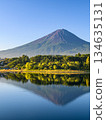 Inverted Fuji reflected in Lake Kawaguchi in summer, Yamanashi Prefecture 134635131
