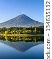 Inverted Fuji reflected in Lake Kawaguchi in summer, Yamanashi Prefecture 134635132