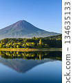 Inverted Fuji reflected in Lake Kawaguchi in summer, Yamanashi Prefecture 134635133