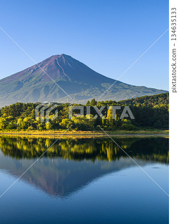 山梨縣河口湖夏季倒映著富士山的倒影 134635133