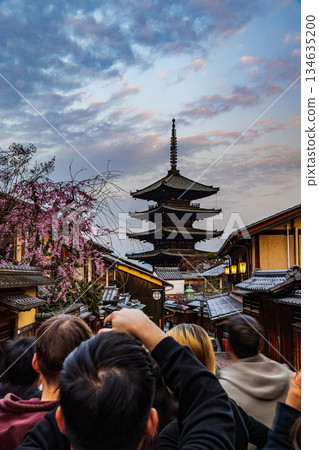京都:五層寶塔與櫻花交相輝映的景色 京都:五層寶塔與櫻花交相輝映的景色 134635200