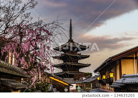 京都:五層寶塔與櫻花交相輝映的景色 京都:五層寶塔與櫻花交相輝映的景色 134635203