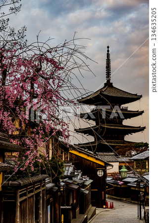Kyoto: Scenery with a five-story pagoda and cherry blossoms 134635205