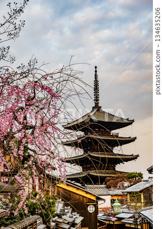 Kyoto: Scenery with a five-story pagoda and cherry blossoms Kyoto: Scenery with a five-story pagoda and cherry blossoms 134635206