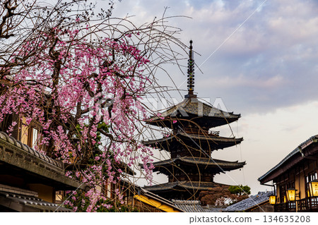京都:五層寶塔與櫻花交相輝映的景色 京都:五層寶塔與櫻花交相輝映的景色 134635208