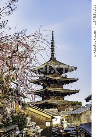 Kyoto: Scenery with a five-story pagoda and cherry blossoms Kyoto: Scenery with a five-story pagoda and cherry blossoms 134635213
