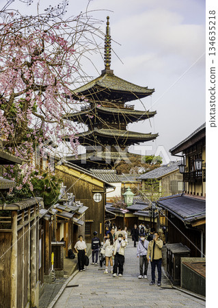 京都:五層寶塔與櫻花交相輝映的景色 京都:五層寶塔與櫻花交相輝映的景色 134635218