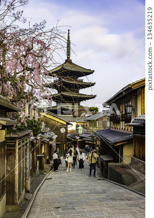 Kyoto: Scenery with a five-story pagoda and cherry blossoms 134635219