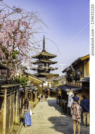 京都：五層寶塔與櫻花交相輝映的景色 134635220