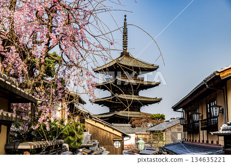 Kyoto: Scenery with a five-story pagoda and cherry blossoms 134635221