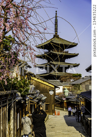 京都：五層寶塔與櫻花交相輝映的景色 134635222