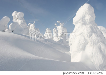 積雪覆蓋的道路結著霜。 134635292