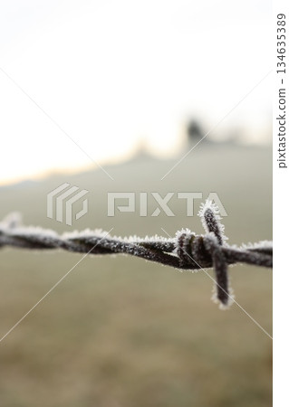 Close up of Frosted Barbed Wire in Winter Close up of Frosted Barbed Wire in Winter 134635389