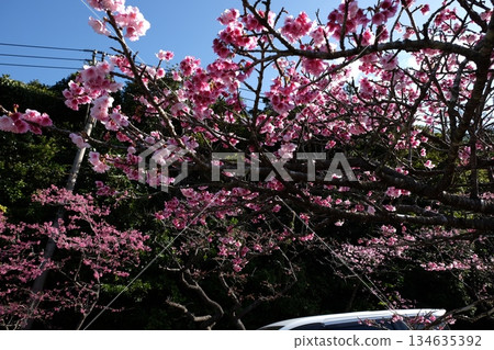 Paint the sky pink Paint the sky pink 134635392