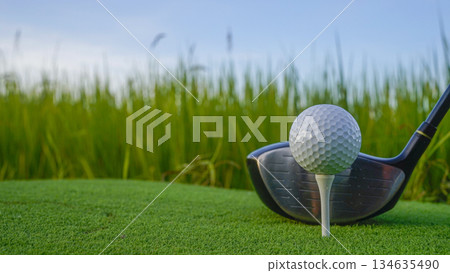 Golf clubs and balls on a green lawn in a beautiful golf course with morning sunshine. 134635490