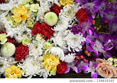 Hanatemizu 134635585