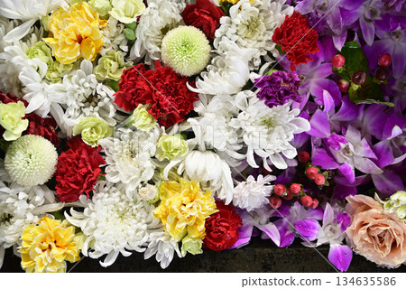 Hanatemizu 134635586