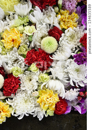 Hanatemizu 134635589