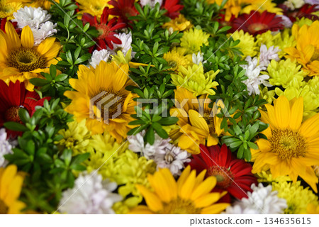 Hanatemizu 134635615