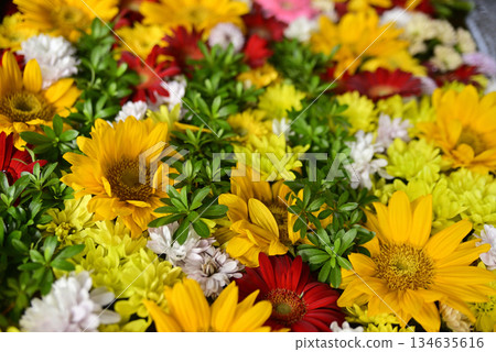 Hanatemizu 134635616