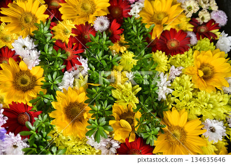 Hanatemizu 134635646