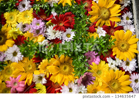 Hanatemizu 134635647