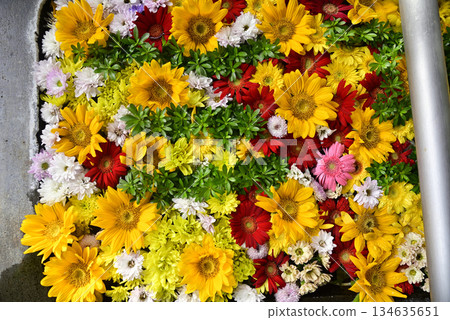 Hanatemizu 134635651