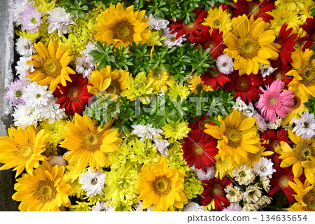 Hanatemizu 134635654