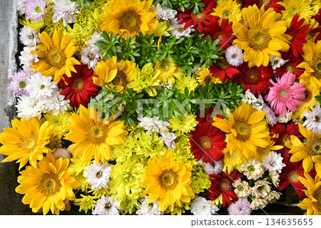 Hanatemizu 134635655