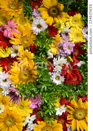 Hanatemizu 134635658