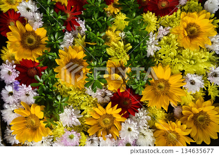 Hanatemizu 134635677